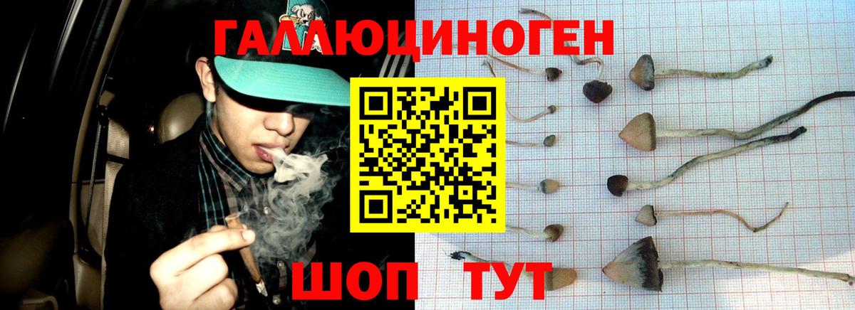 Галлюциногенные грибы MAGIC MUSHROOMS Сызрань